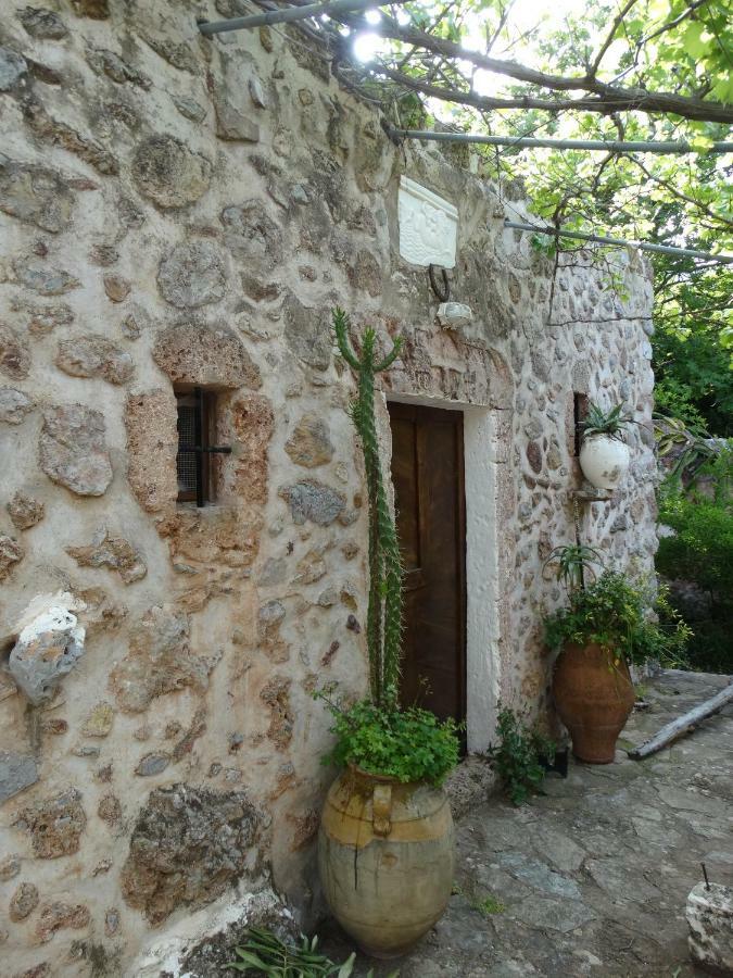 شقة Nikos House Káto Zákros المظهر الخارجي الصورة